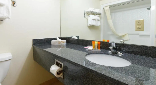 Двухместный люкс 49er Inn & Suites
