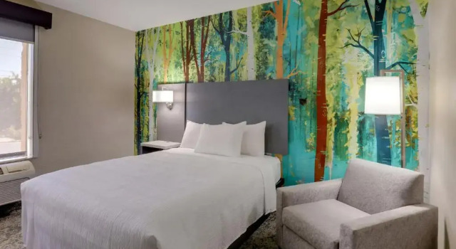Двухместный номер Standard Barrington Hotel & Suites