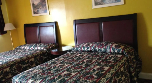 Двухместный номер Deluxe Flamingo Inn