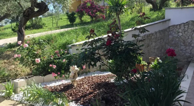 Lejlighed Appartamento Sole