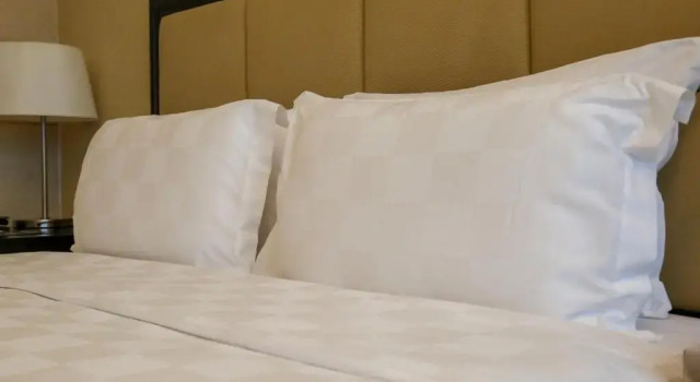 Двухместный номер Superior с видом на город Oriental Ginza Hotel Shenzhen