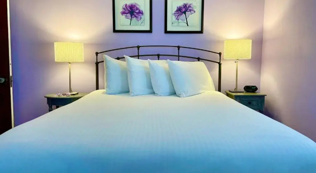 Двухместный номер Standard с балконом Dragonfly Guest House