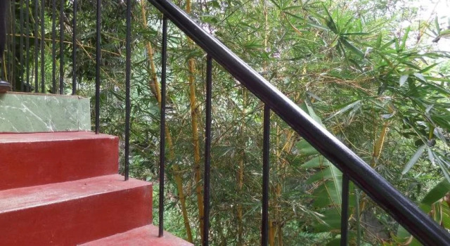 Rose Garden Homestay, Book Hotel Kumily New Delhi