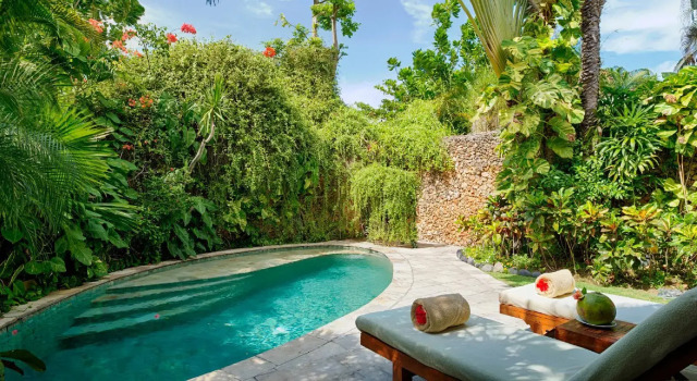 Люкс Deluxe Villa Kubu, Seminyak