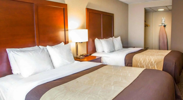 Четырёхместный люкс Quality Inn & Suites Orland Park - Chicago