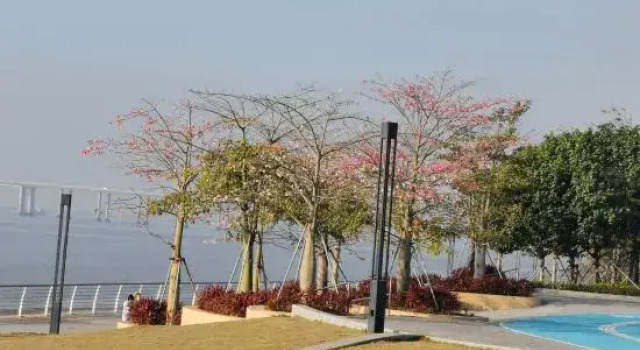 Guangzhou Perliyazhu Apartment, Boek Appartement Hotels in Guangdong met parkeren, Parkeren