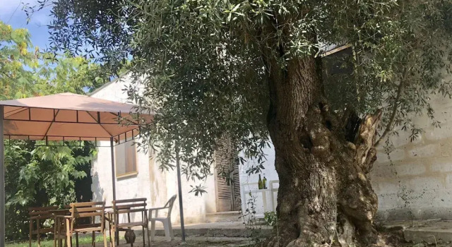 Masseria Pietro