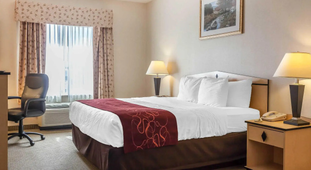 Номер Standard Comfort Inn & Suites Airport Convention Center