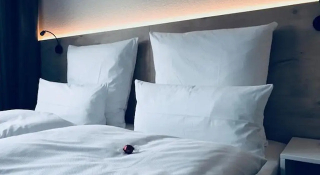 Двухместный номер Economy Hotel an der Burgschänke