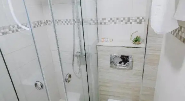 Номер Deluxe Vazdušna Banja