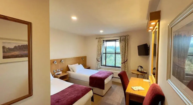 Двухместный номер Standard The Lucan Spa Hotel
