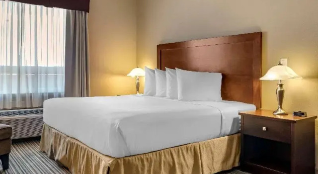 Номер Standard Quality Inn & Suites