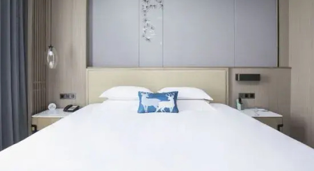 Люкс Deluxe Century Hotel (Shuanglong Avenue Branch)