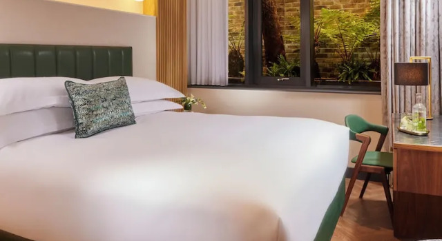 Номер Deluxe The Chancery Hotel
