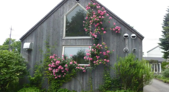 Garden Shed, Boek Hotel Hotels in Tokai met parkeren, Parkeren