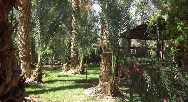 Riad Marrat, Buchen Sie Hotel Agdz Zagora