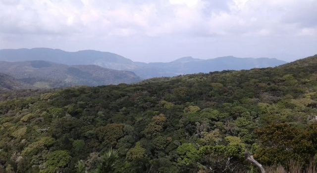 Patana holiday home, Book Hotel Viharahena 