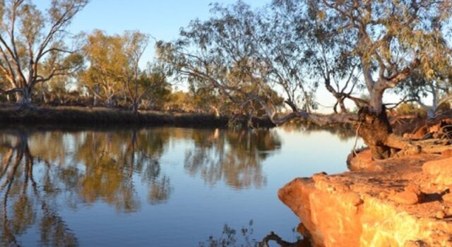 Wooleen Station, Reserva ahora Hotel  