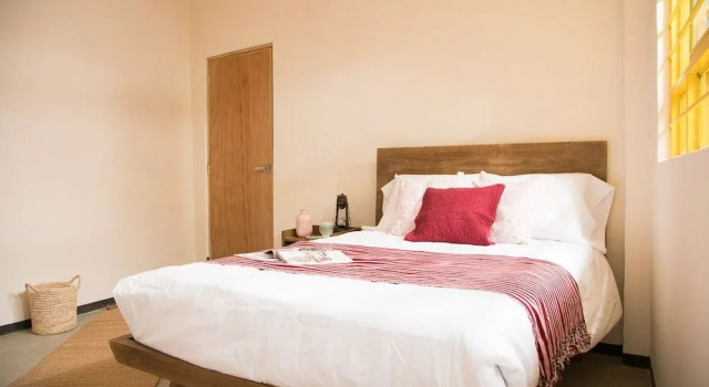 Cactus Hostel, Prenota Ostello Ostelli a Guanajuato, Ostello