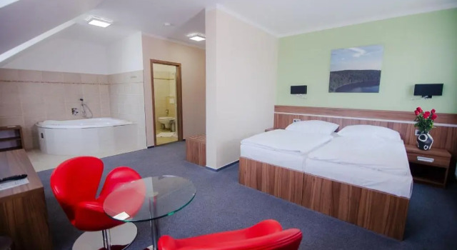 Двухместный номер Standard Hotel Jezerka
