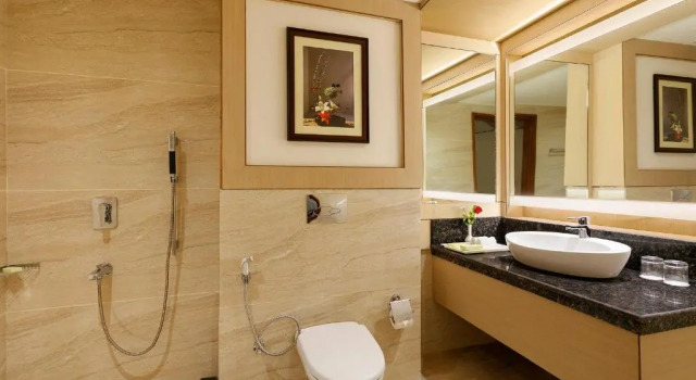 Номер Deluxe The Orchid Manali - a Boutique Hotel