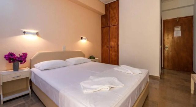 Двухместный номер Economy Ionis Hotel
