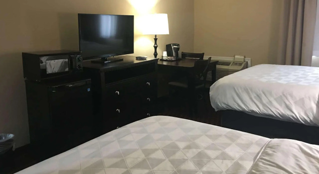 Четырёхместный номер Standard Wyndham Garden Dover