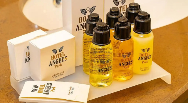 Одноместный номер Standard ANGELS PARK HOTEL
