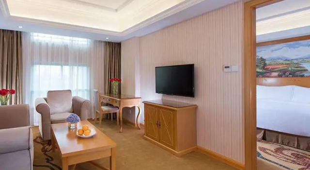 Люкс Deluxe Vienna Hotel Shenzhen Dalang Clothing Base Branch