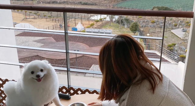 Номер Deluxe Hi Jeju Hotel