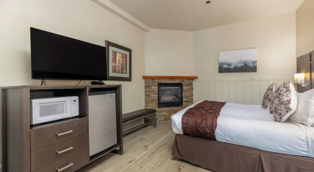 Двухместный номер Deluxe Austria Hof Lodge