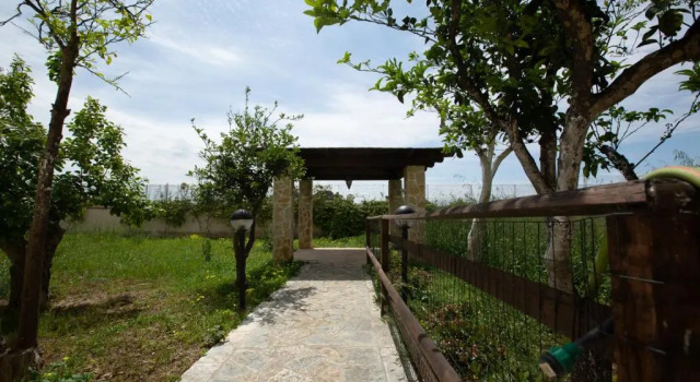 Standard Zimmer Villa Adele B&B