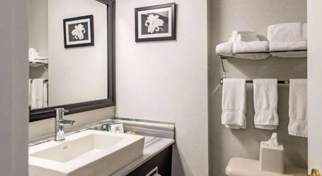Номер Executive Quality Inn & Suites