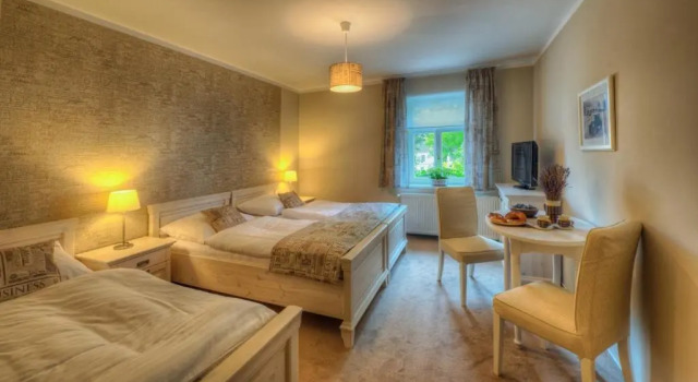 Двухместный номер Standard с красивым видом из окна Hotel Panský dům