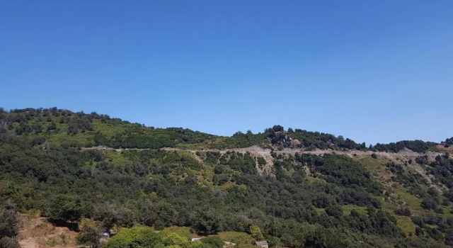 Номер Standard English Club in Corsica B&B