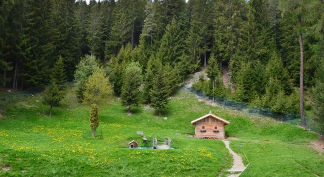 Одноместный номер Standard с балконом Granpanorama Wellnesshotel Sambergerhof Superior