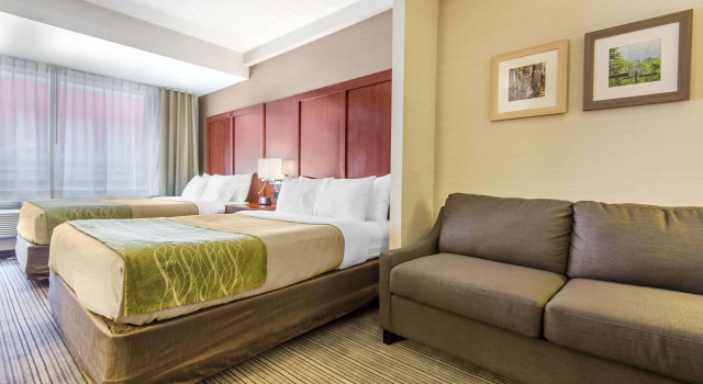 Четырёхместный люкс Comfort Inn & Suites