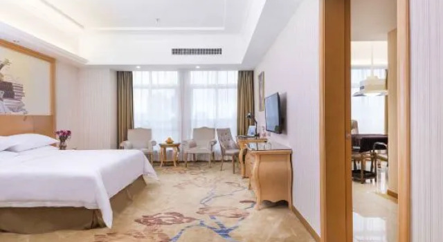 Люкс Vienna Hotel (Wuhu Gaoche Subway Station Store, Wuhan Changjiang New Area)
