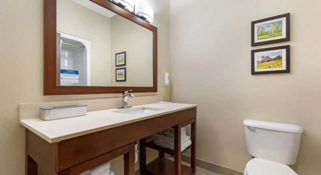 Четырёхместный люкс Comfort Suites Cedar Falls Industrial Park