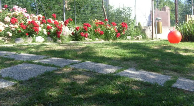 Апартаменты Дуплекс Farm stay Agriturismo la Borgaccia