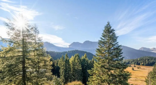 Апартаменты Alpine Apartment in Chamrousse