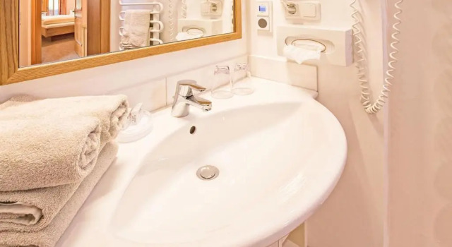 Номер Standard Wellness-Aparthotel Montana