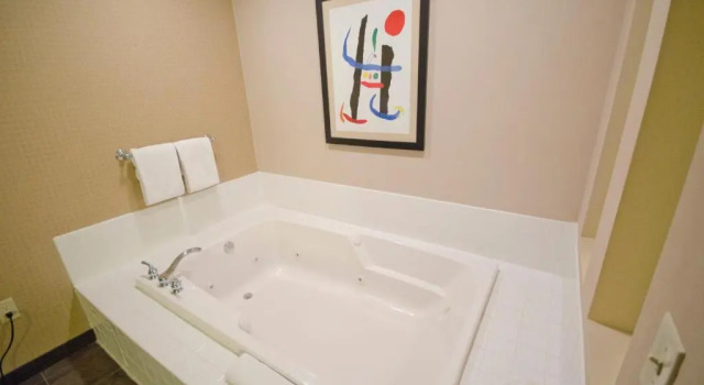 Люкс Holiday Inn St. Paul Northeast - Lake Elmo