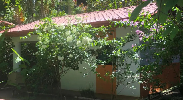 Студия Casa del Toucan
