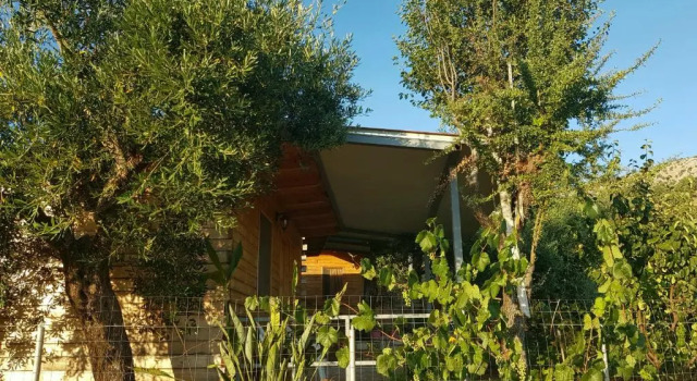 Holiwood, Book Hotel Himarë Vlorë County