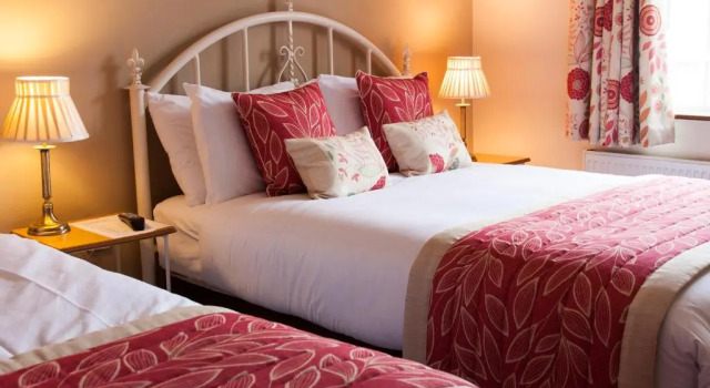 Номер Deluxe Kingfisher Lodge