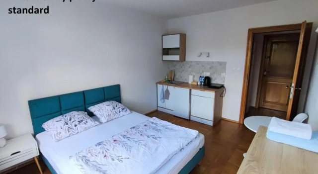 Двухместный номер Standard Apartamenty Monterska