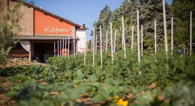 La Ca dal Non - Bioagriturismo, Забронировать Отель Савиньяно-суль-Панаро провинция Болонья