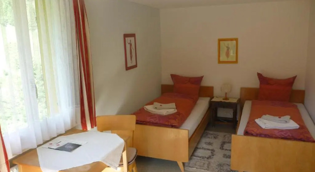Двухместный номер Standard Hotel Rigi Klösterli