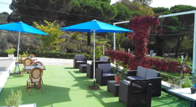 Номер Standard Hotel Casa Grande